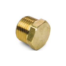 NPT PLUG