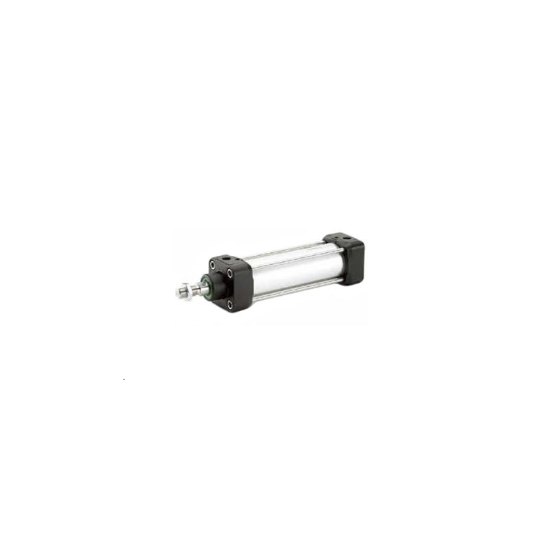 Vérin profilé pneumatique Parker, P1D-T050MS-0500 Double Action