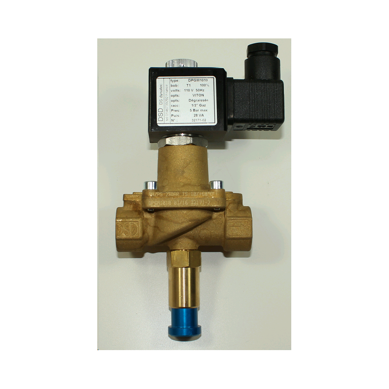 Electrovanne DPGM1010 DN15 remplacée par 0DZ8A