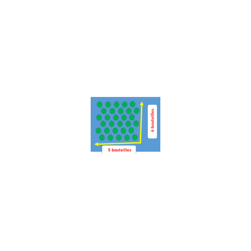 Table de comptage 6x5 (compteurs fournis)